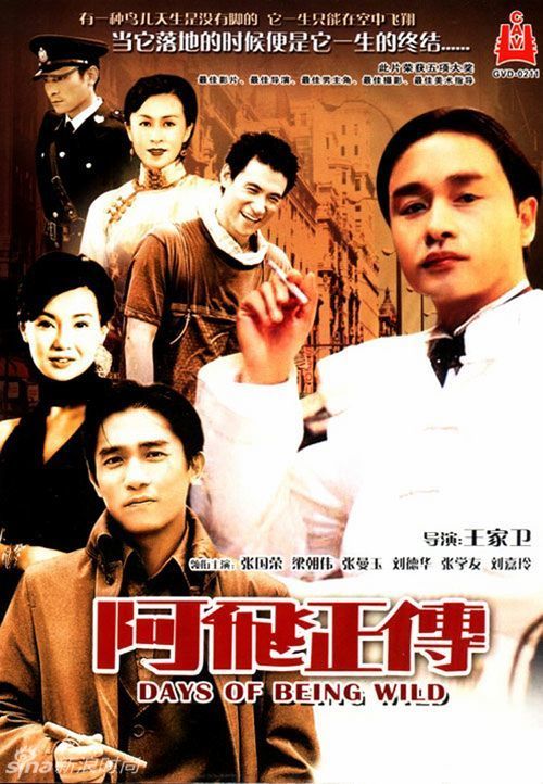 怎么做假智利